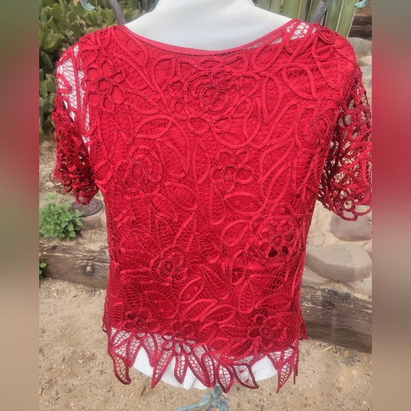 Silk Beaded & Laced Red Blouse - Picture 3 of 4